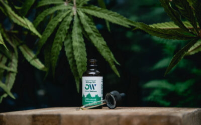 What Is The Best Way To Take CBD?