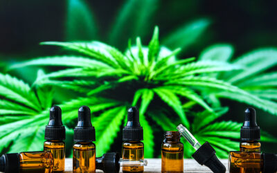 How Are CBD Oils And Other Products Used Most Effectively?